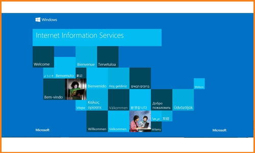 如何在Windows 10系统中正确安装IIS互联网信息服务